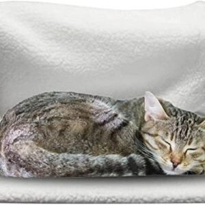3xRadiator Cat Bed