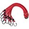 8 Leg spider Bungee 30"