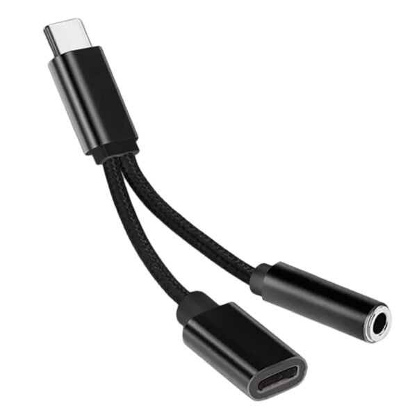 Type C to Aux Female Connector 2in1