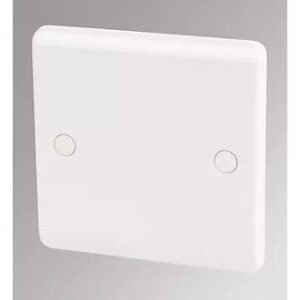 Single Blank Plate