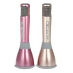 Wireless Microphone with Mic Speaker