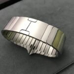 APPLE STAINLESS STEEL WATCH BAND