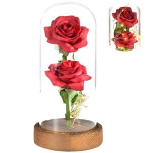 New Rose In Glass Dome with LED Fairy Lights Colorful Rose