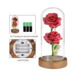 New Rose In Glass Dome with LED Fairy Lights Colorful Rose