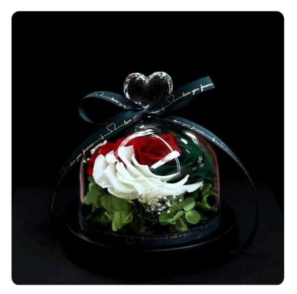 Rose Gift For Women for her Birthday,Anniversary,Valentine's Day & Mother's Day