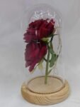 New Rose In Glass Dome with LED Fairy Lights Colorful Rose